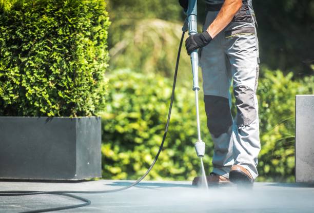 Best Fence Cleaning  in Flomaton, AL