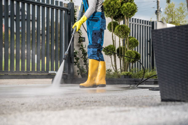 Best Sidewalk and Walkway Cleaning  in Flomaton, AL